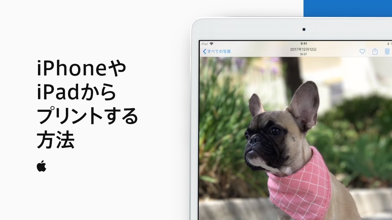 iPhoneやiPadからプリントする方法 — Appleサポート