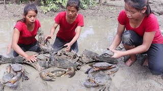 Good Luck for turtle rescued in mud & Found catch big crab for food Big crab curry tasty for dinner