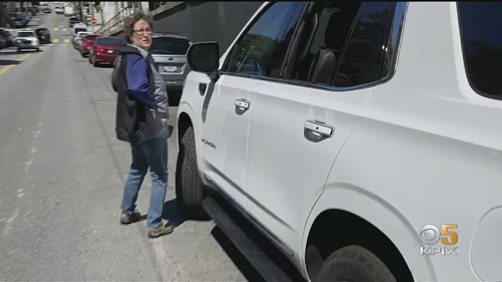 Tourist Has Purse and Beach Bag Stolen from Rental Car Parked Near Alamo Square