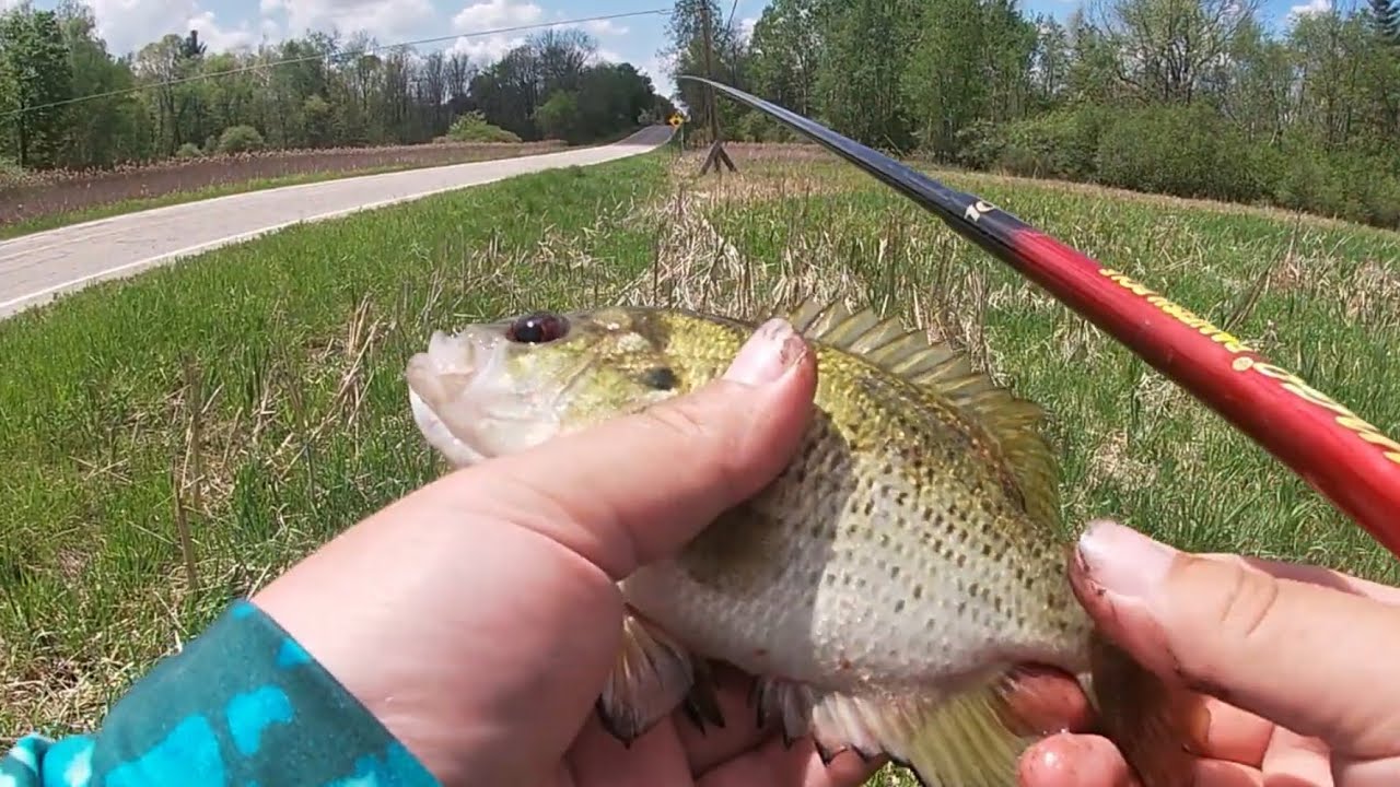 best river fly fishing rods Best Fly Rod for Fly Fishing: Choose the Right Rod for Every Water  Trout  & Feather