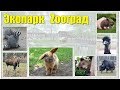 "Зооград" в Пушкинских горах  |  "Zoograd" in Pushkin mountains