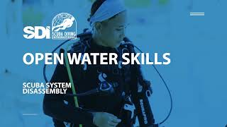 Как разобрать снаряжение для подводного плавания — SDI Open Water Skills