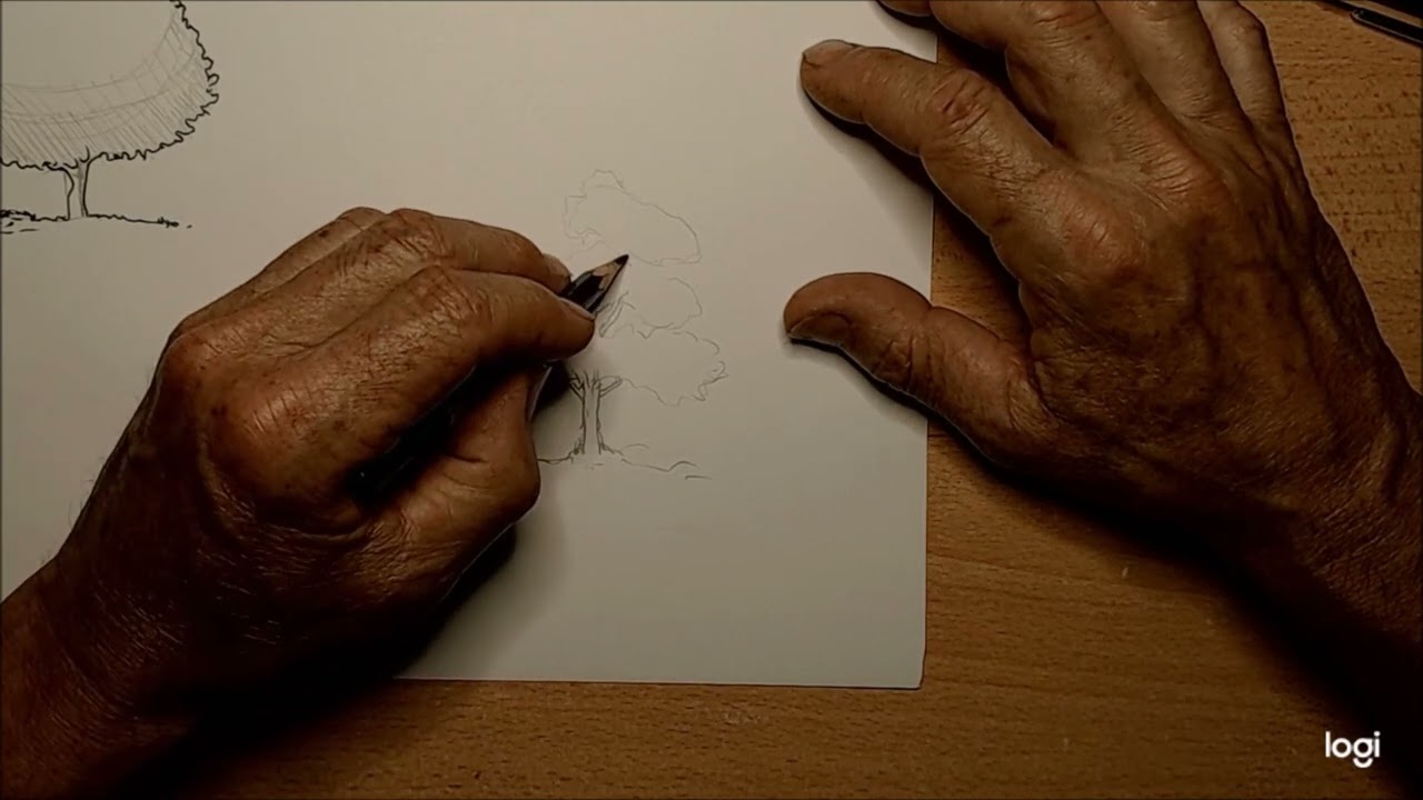 Disegnare gli alberi: le basi parte 1