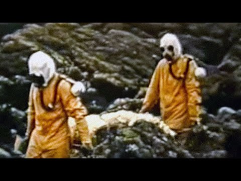 Creepy Military Experiments That Have Been Recorded!