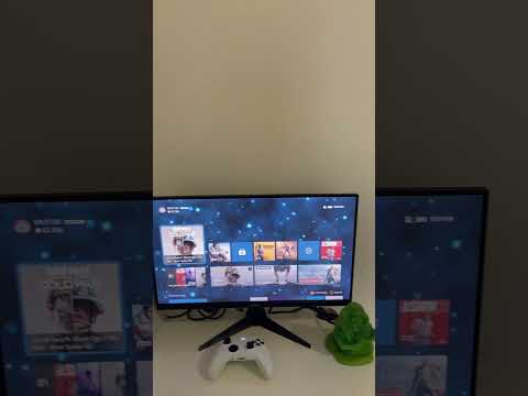 Budget gaming monitor