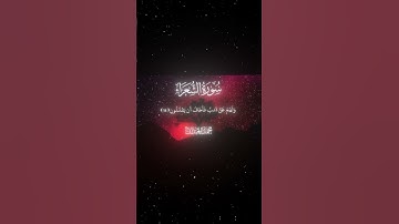 سورة الشعراء|10-15|القارئ:#محمد_اللحيدان #قران #quran #راحة_نفسية #قران_كريم#تلاوة_هادئة#تلاوة_خاشعة