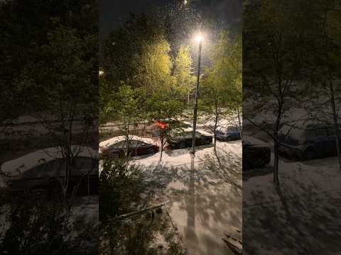 Видео: Май. Зима. 2024❄️ #обзор #подписка #ютуб #погода #лайк