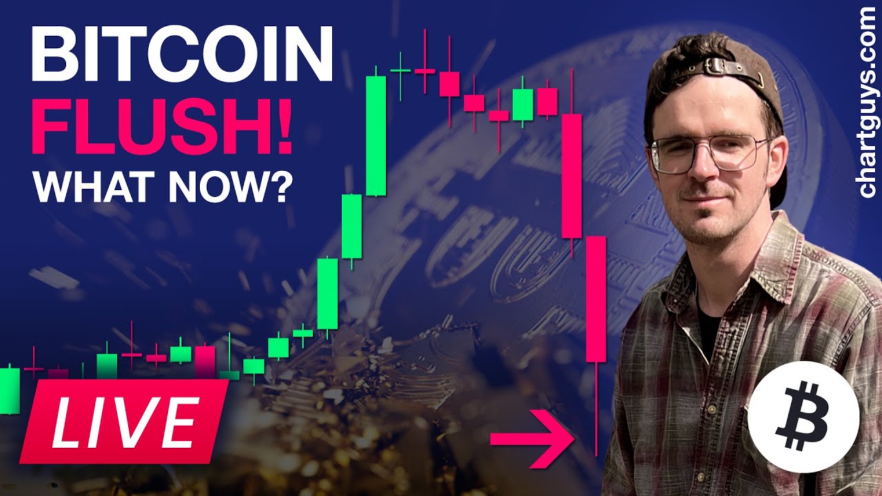 Bitcoin FLUSH! What Now?