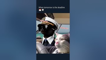 ☠️ #codingmemes #codinglife #relatabletech #devhumor #debuggingmood #programmer #codelife #coding