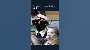 ☠️ #codingmemes #codinglife #relatabletech #devhumor #debuggingmood #programmer #codelife #coding