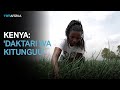 Daktari Wa Kitunguu Anayesiadia Wakulima Kuongeza Mazao Yao Daktari Wa Kitunguu Anayesiadia Wakulima Kuongeza Mazao Yao