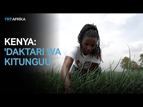 Daktari Wa Kitunguu Anayesiadia Wakulima Kuongeza Mazao Yao 