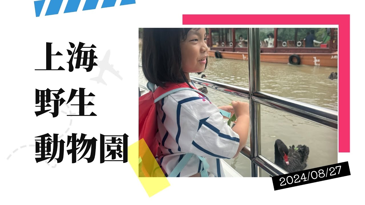 2024/8/27 上海自由行day3 上海野生動物園 vip投餵車套票