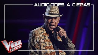 Nico Fioole - Just a Gigolo | Blind auditions | The Voice Senior Antena 3 2020