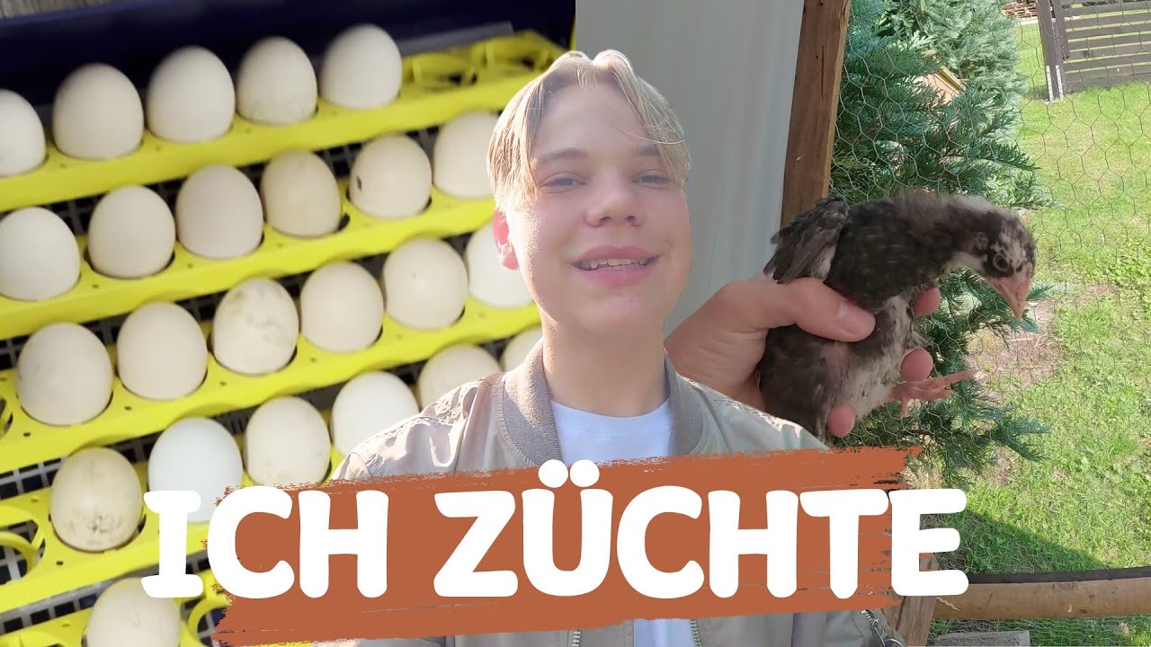 Ich BRÜTE BLUMENHÜHNER aus!