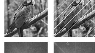 DIP 04 - Fourier Transform - (8) Processing images in the frequency domain