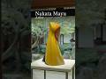 中田 真裕 Nakata Mayu_2024 Special Exivition at Kenninji Tample