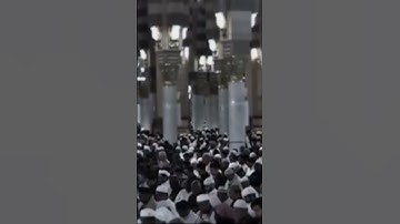 القارئ عبدالله القرافي #اكسبلور #القران #المصحف
