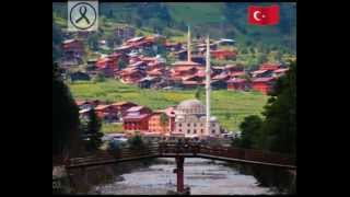 Uzungöl 2014