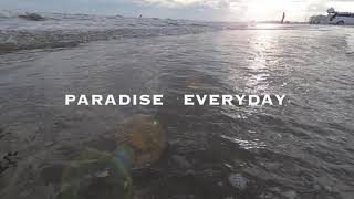 Paradise Everyday Beachfront Rental in Galveston Texas