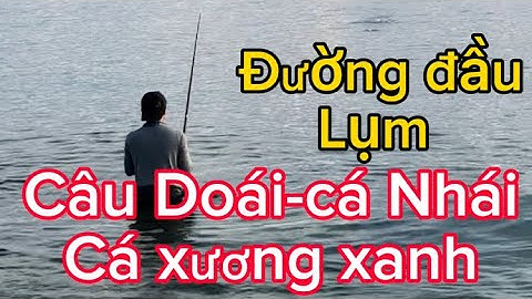 Buổi đầu câu cá nhái(Cá Doái) cá xương xanh kéo cháy nách,câu cá bạt bãi