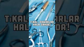 Tikali Damarlar Hala Orada Byp Sonrası Yeniden Koroner Anjio Neden Gerekir?