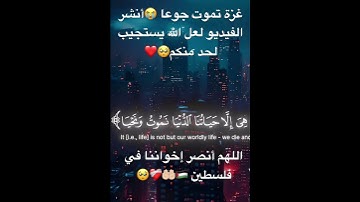 تلاوة خاشعة للقران الكريم🎧 اللهم أنصر أخواننا في غزة 🌹❤️🤲🏻🤲🏿🤲 غزة تموت جوعا
