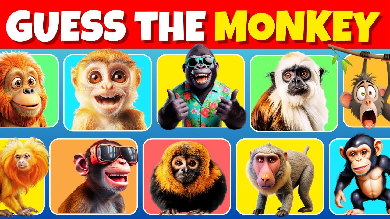 Guess the Monkey 🐒 | Fun Animal Quiz Challenge” - YouTube