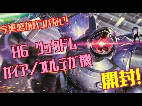 HG MS-09  GAIA‘S/ORUTEGA’S RICK DOM （GQ）　リック・ドム　ガイア機 / オルテガ機　　　開封