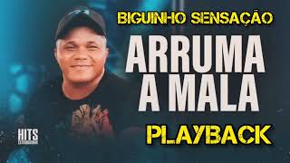 PLAYBACK BIGUINHO SENSAÇÃO - ARRUMA A MALA