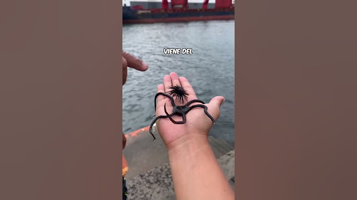 👽🤣ANIMALES DEL MAR QUE PARECEN DE OTRO MUNDO | ANIMALES RAROS DEL MAR |ANIMALES DE LAS PROFUNDIDADES