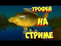 русская рыбалка 4 рр4 стрим Алексей Майоров Russian Fishing 4