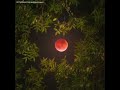 Сура Аль Ихлас Очищения веры
