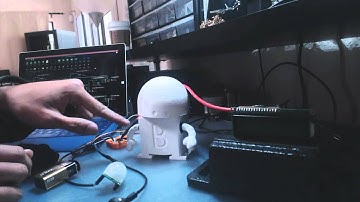 Motion activated robot