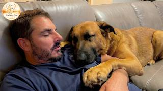 They Warned Us About This Dog — We Adopted Him Anyway