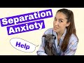 How to Prevent SEPARATION ANXIETY - 8 Tips on Training Your Italian Greyhound