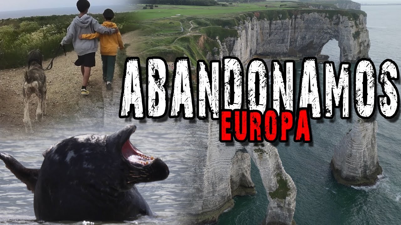 Última Aventura en Europa: Focas, Acantilados y un Hasta Luego