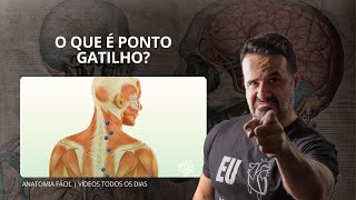 O QUE É PONTO GATILHO - #anatomiafacil