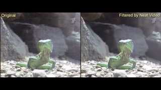neat video 4.5 torrent search neat video 4.5 torrent search