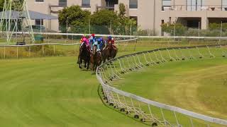 Vidéo de la course PMU PRIX WORLD SPORTS BETTING GREEN POINT STAKES