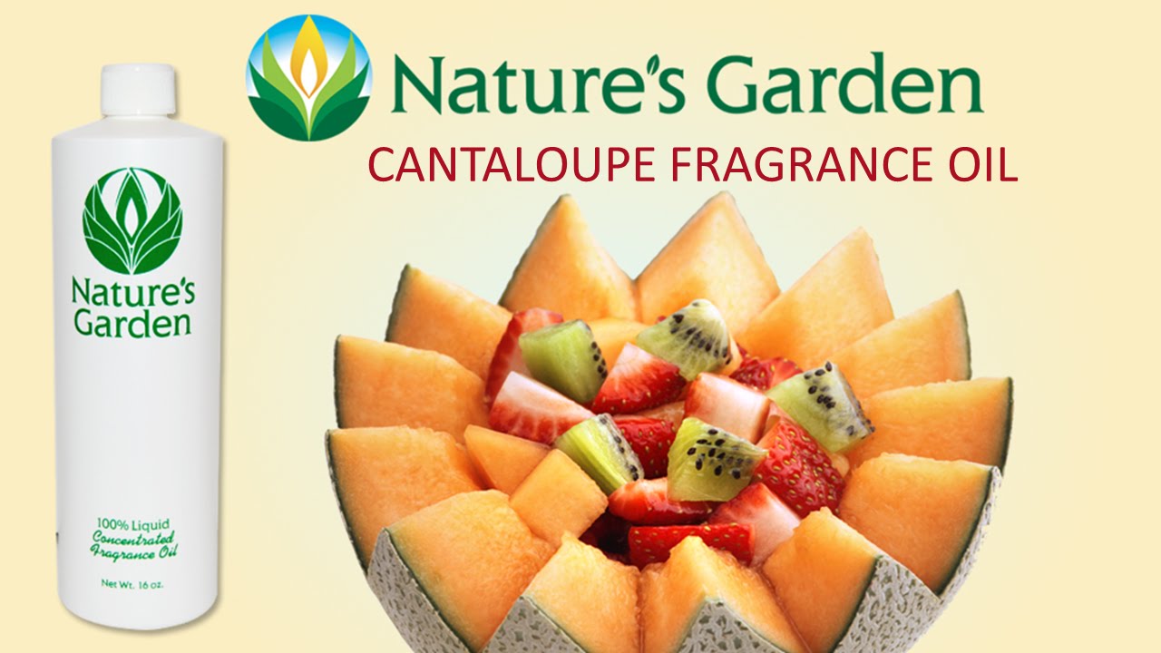 Cantaloupe Fragrance Oil - Natures Garden - YouTube