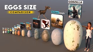 Eggs Size Comparison 3D | Biggest Eggs 2022