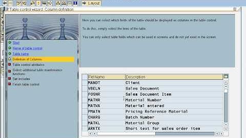 tabcontrol wizard(Module pool programming)