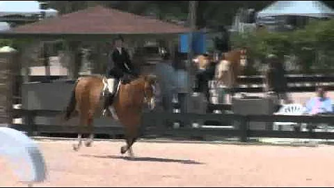 Video of SUNSATIONAL riden by LISA BAUGH from Show...