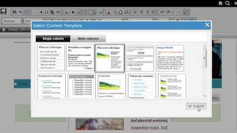 FatCat Servers Video Tutorials - Using layout templates in RVSiteBuilder
