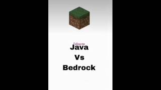 Bedrock vs Java #minecraft #shorts