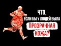 Что, если бы мы видели все, что происходит под кожей