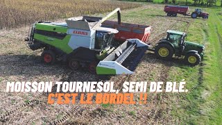 METEO CAPRICIEUSE, 10 M DE SEMOIR  !!