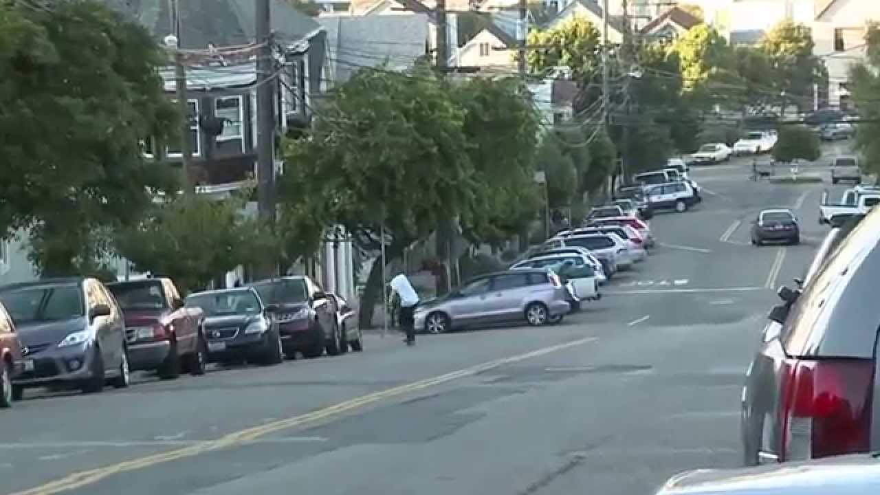 element skateboards dc shoes