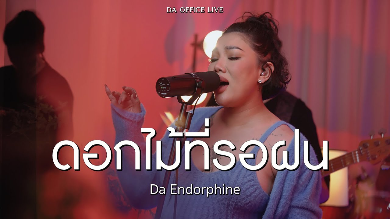 Da Endorphine - ดอกไม้ที่รอฝน (Da Office Live)